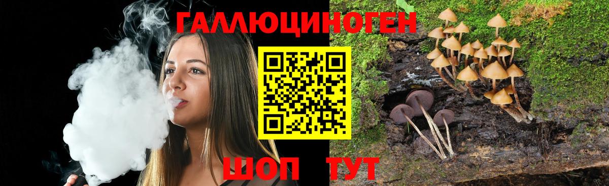 Королёв  Галлюциногенные грибы Magic Shrooms  Псилоцибиновые грибы GOLDEN TEACHER  Вход с VPN 